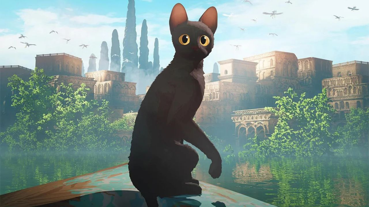 Sentir o Verão / Luz, Câmara, Verão!