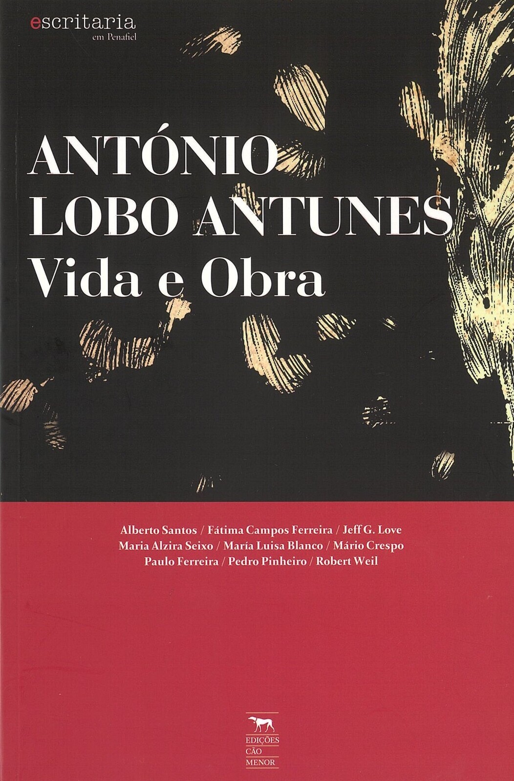 Ant&oacute;nio Lobo Antunes